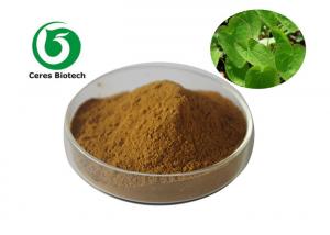 Best Medical Food Grade Epimedium Extract Powder Flavone 5% For Enhancing Male Sexuality wholesale