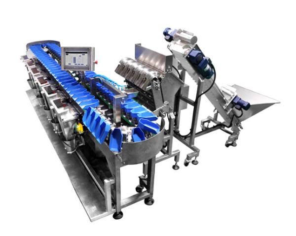 Cheap Fully Automatic Selection Weight Sorter Equipment Check Weighing Machine for Classifying Fish Fillet for sale