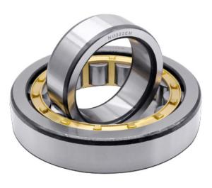 Best Radial Cylindrical Roller Bearings N216 N218 N220 N200 Series N205 N220 wholesale