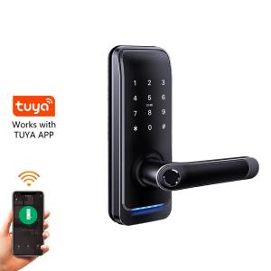 China Customized Smart RFID Card Thumbprint Door Lock Matted Black on sale