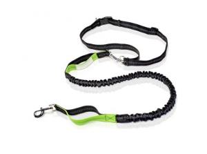 Best Retractable Hands Free Dog Training Leash Dual Handle Bungee Waist Harness Nylon wholesale