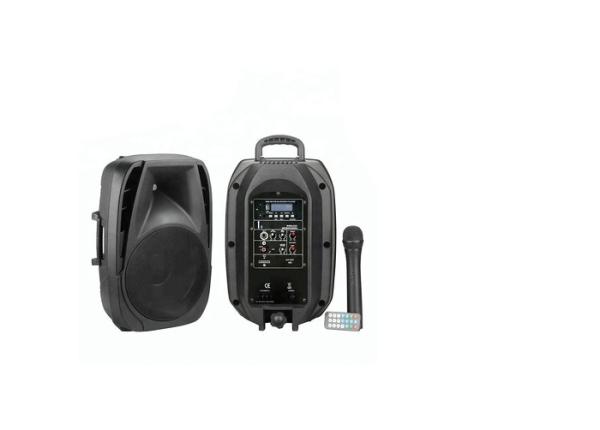 Cheap LED Radio Powerful Portable Speakers Trolley Speaker for sale