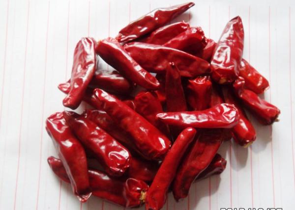 Cheap Red Bullet Chaotian Pepper Stick Shape Sichuan Facing Heaven Chillies for sale