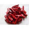 Red Bullet Chaotian Pepper Stick Shape Sichuan Facing Heaven Chillies for sale
