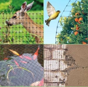 Best Anti Bird Polyethylene Mesh Netting wholesale