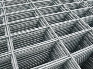 Best Rectangle Opening Shape Welded Wire Mesh Panel Welded Mesh Fence wholesale