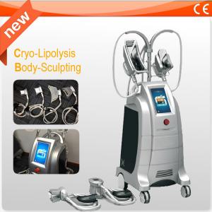 Best Safety Coolsculpting Slimming Beauty Machine For Fat Reduction / Body Contouring wholesale