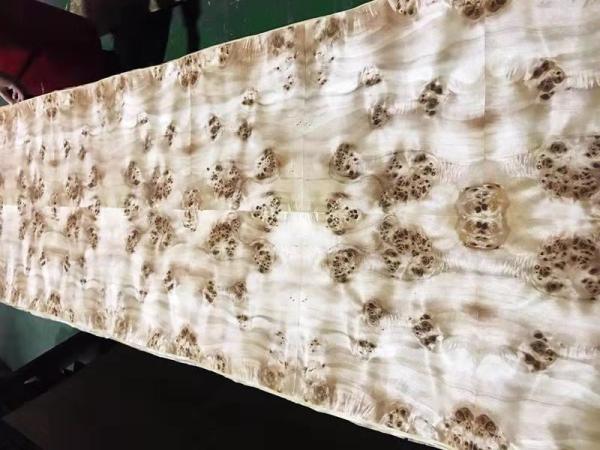 Cheap 0.5mm Full Sheet Mappa Veneer with Paper Back for Furniture Usage for sale