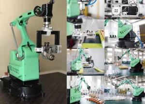Best Mini Collaborative Robotic Palletizer wholesale