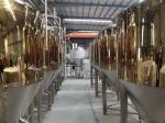 500L Customized Conical Fermentation Tank For Microbrewery / Brewpub