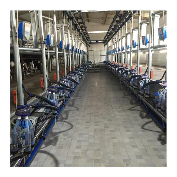 Cheap Electric goat Herringbone Milking Parlor with Automatic system for sale