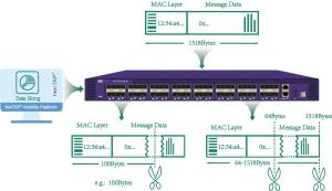 Best Offering L2/L3/L4/L7 Load Balancing Network Packaging Broker With Packet Duplication wholesale