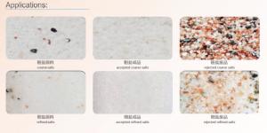 China Sea Salt Processing Stainless Steel 5T/H Optical Color Sorter on sale