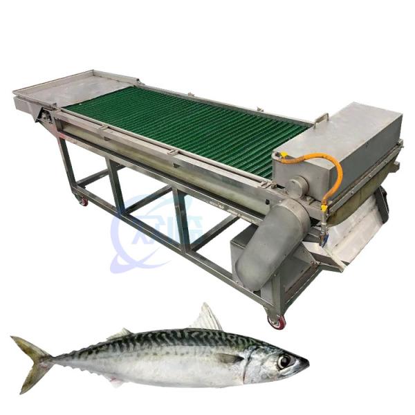 Cheap Fully automatic fish cutting machine electric slicer equipment fresh and dried fish slicer fish slicer for sale