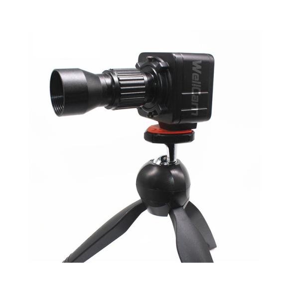 Cheap 1080P HD Realtime Spy Hunting Camera Long Range Digital Smart for sale