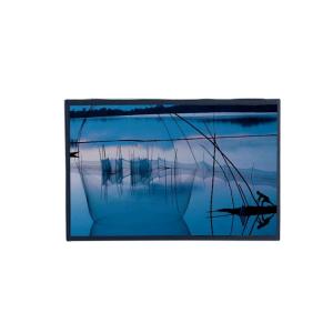 Best 12.1 TFT LCD Ips Display 1280x800 30Pin Tft Pc Monitor LVDS Interface wholesale