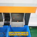 Seamless Integration Date Sorting Machine With State Of The Art Technology