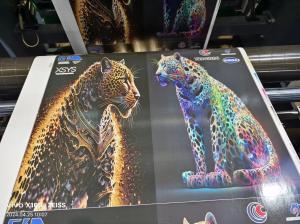 IR Dryer and Web Guide System Included in Sleeve Type Flexo Printing Machine
