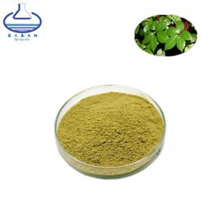 Best PE Gynostemma Pentaphyllum Leaf Extract 80% 98% CAS 80321-63-7 wholesale