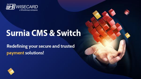 Cheap EMV PADSS Banking Prepaid Card System CMS Embossing Data Pregeneration for sale