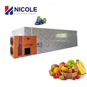 China Automatic Inverter Control Dryer Hot Air For Fruits / Medicinal Herbs on sale