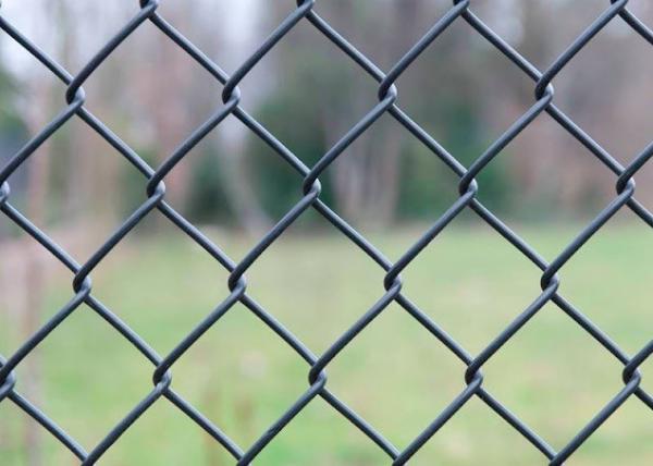 Cheap PVC Coated Diamond Chain Link Fencing Galvanized 2.0mm Diameter 60 X 60mm for sale