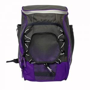 Best OEM ODM Outdoor Sports Backpack 100 % Polyester Softball Gear Bag wholesale