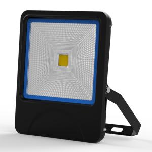 50W COB Flood Light LED Lamp IP66 SAA CE TUV UL Meanwell Bridgelux led
