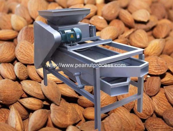 Cheap Automatic Almond Nut Cracking Machine for sale