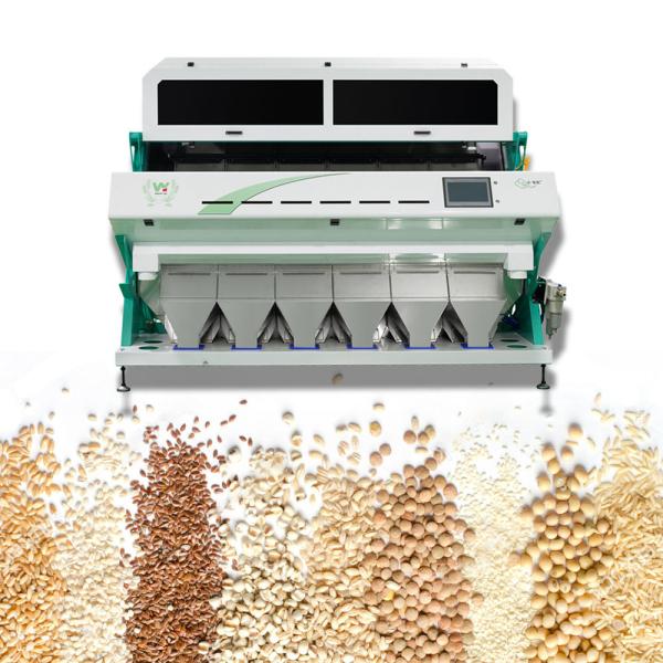 Cheap CCD Grain Sorting Machine With 12 Inch Humanized Touch Screen for sale