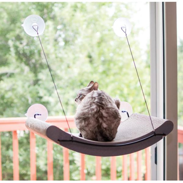window mounted cat bed