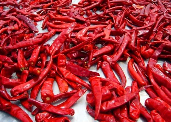 Cheap Sanying Dehydrating Hot Peppers Mala Dried Whole Chillies KOSHER for sale