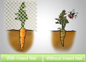 Best Application Of Insect Nets The Use Of Insect-Proof Nets To Artificially Construct Barriers To Reduce The Occurrence wholesale