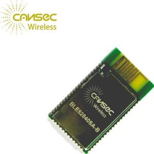 IoT BLE52840SA-B BLE 5.0 Nordic NRF52840 Ble Bluetooth Module