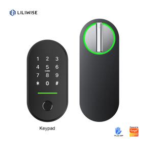 Best Liliwise Hot Selling Lock Smart Home Indoor Tuya Ttlock Security Digital Lock Wifi Smart Lock With Keyless wholesale
