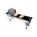 Automatic Egg Coding Machine Inject Printing Machine Small For Eggs Expiry Date
