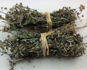 Best Broomjutre Sida Herb Sida rhombifolia L tradtional medicine huang hua mu wholesale