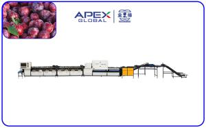 Best 380V/50Hz Computer Control Intelligent Plum Sorting Machine wholesale