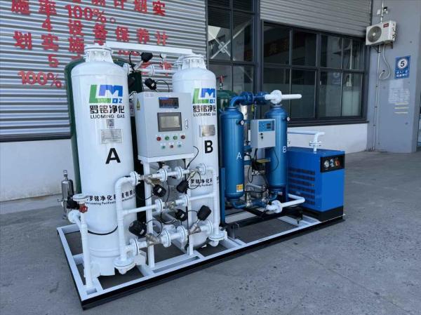 Cheap Industry Equipment Carbon Nitrogen Purification Unit Machine Nitrogen Generation System Carbon Deoxygenation Nitrogen Ge for sale