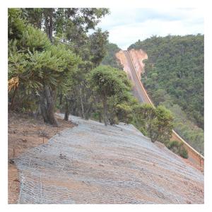 China High Tensile Galvanised Gabion Baskets 80x100mm Slope Protection on sale