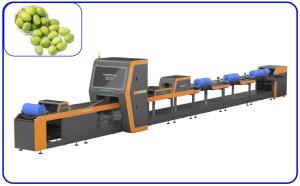 Best Intelligent Automatic Olive Sorting Machine 4 Channel High Precision wholesale