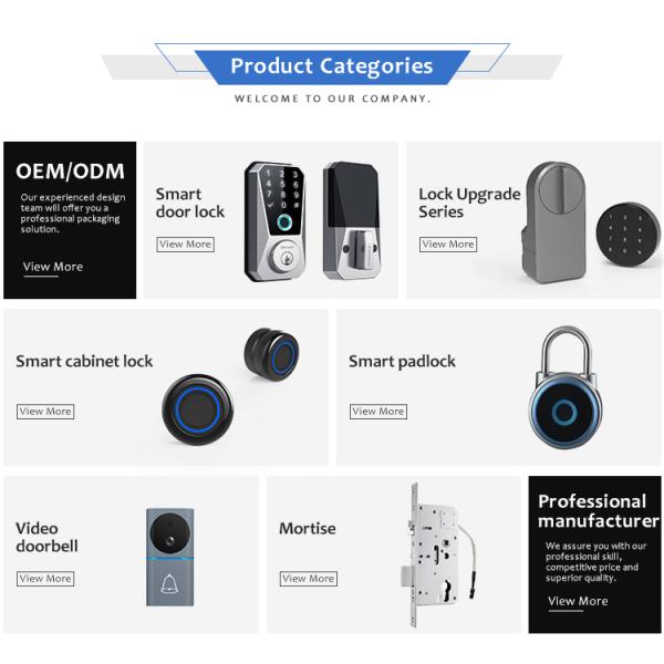 Family Security Management Function Automatic Locking Smart Fingerprint Cabinet Lock