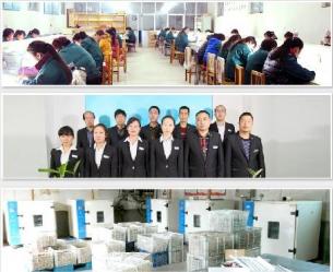 Shijiazhuang Wanlixin Industrial and Trade Co., Ltd