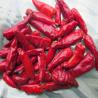 Round 12% Moisture Red Bullet Chilli Anhydrous HACCP With Hat King Small Size for sale