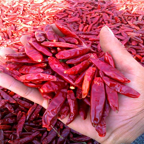 Cheap 4-7cm Crushed Chilli Peppers Bold Spice In Convenient 25kg/Ctn for sale