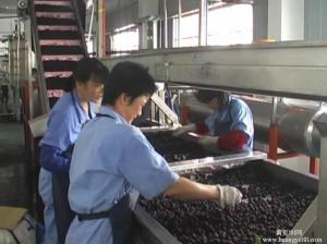 Best Customized Capacity Fruit Juice Processing Line Fully Automatic Control wholesale
