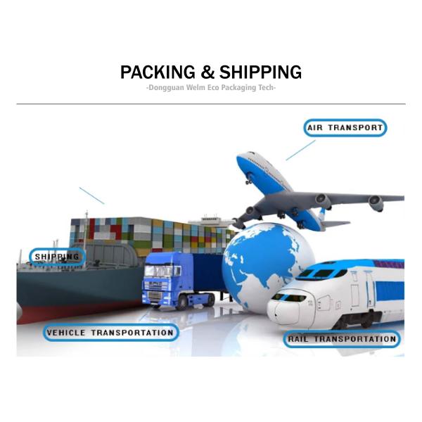 Biodegradable Cardboard Fried Chicken Boxes Burger Clamshell Food Packaging