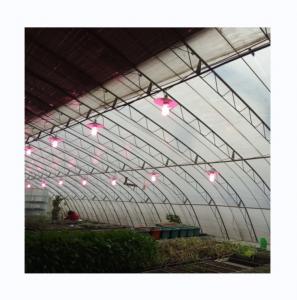 Best Full Ventilated Film Covered Polyethylene Three Earth Wall Greenhouse for Winter Season wholesale
