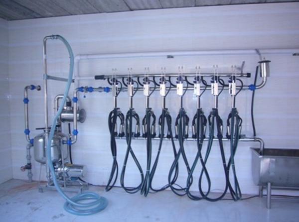 Cheap Fish bone Pipeline Herringbone Milking System 4KW 380V / 50Hz for sale