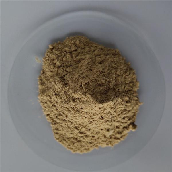 Cheap gmp appetite suppressant green coffee bean extract in bulk for sale